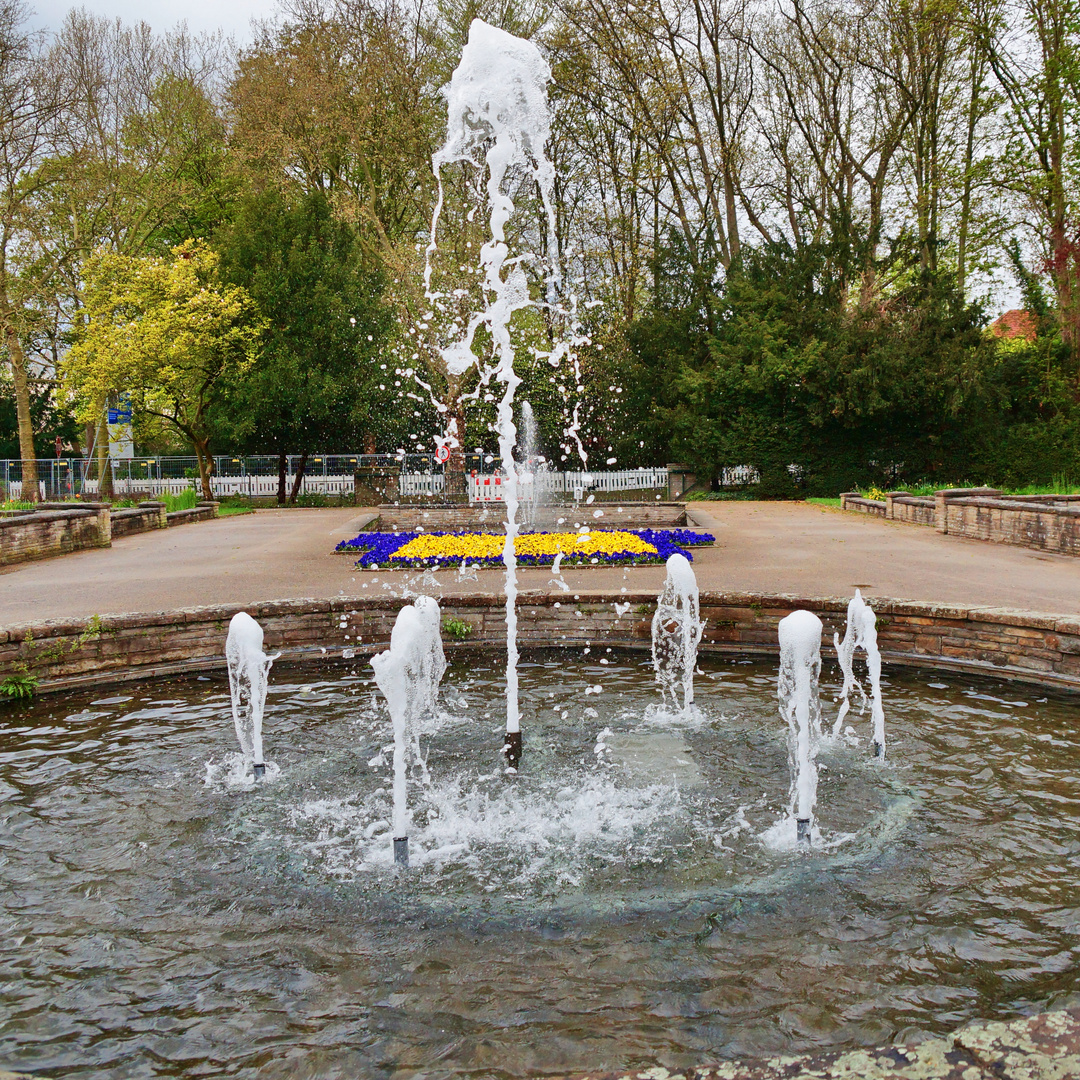 Springbrunnen im Stadtgarten Gelsenkirchen Foto & Bild natur