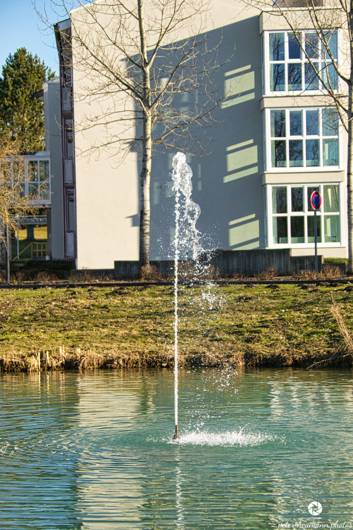 Springbrunnen im Teich