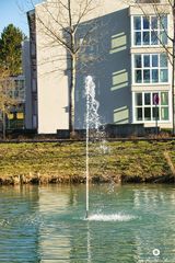 Springbrunnen im Teich