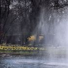 Springbrunnen im Teich vom Kurpark Bad Bellingen - Frühlingsanfang