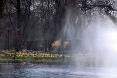 Springbrunnen im Teich vom Kurpark Bad Bellingen - Frühlingsanfang