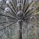 Springbrunnen in Blumenform