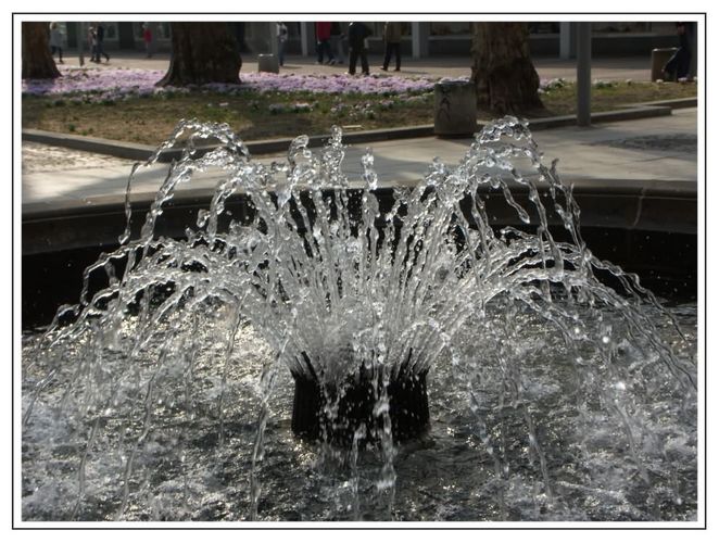 Springbrunnen in Dresden