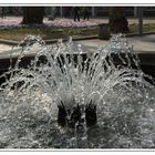 Springbrunnen in Dresden