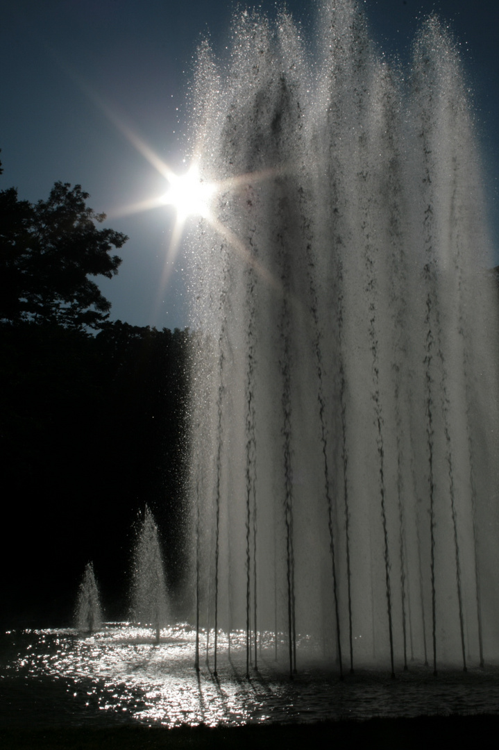 Springbrunnen mit Gegenlicht