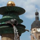 Springbrunnen mit Taube...