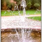 Springbrunnen und Rosen