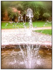 Springbrunnen und Rosen