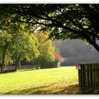 Springe Jagdschloss Sommer