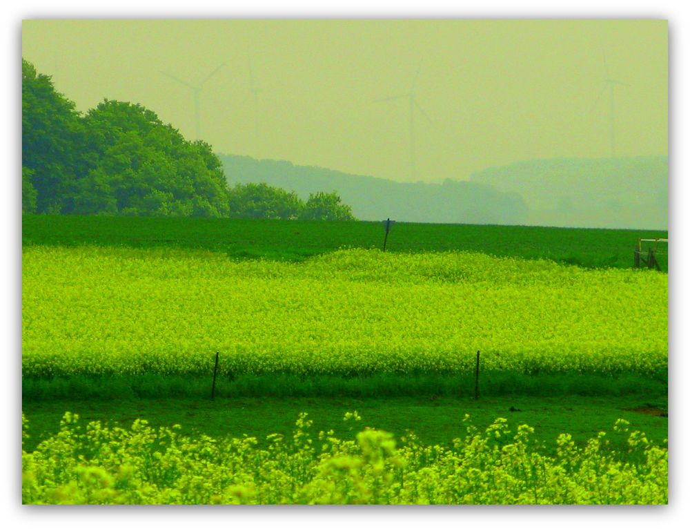 Springe ländlich