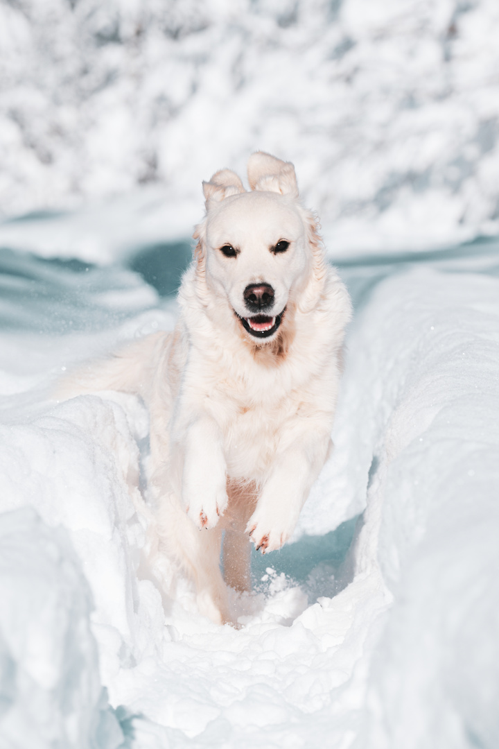 Springen im Schnee