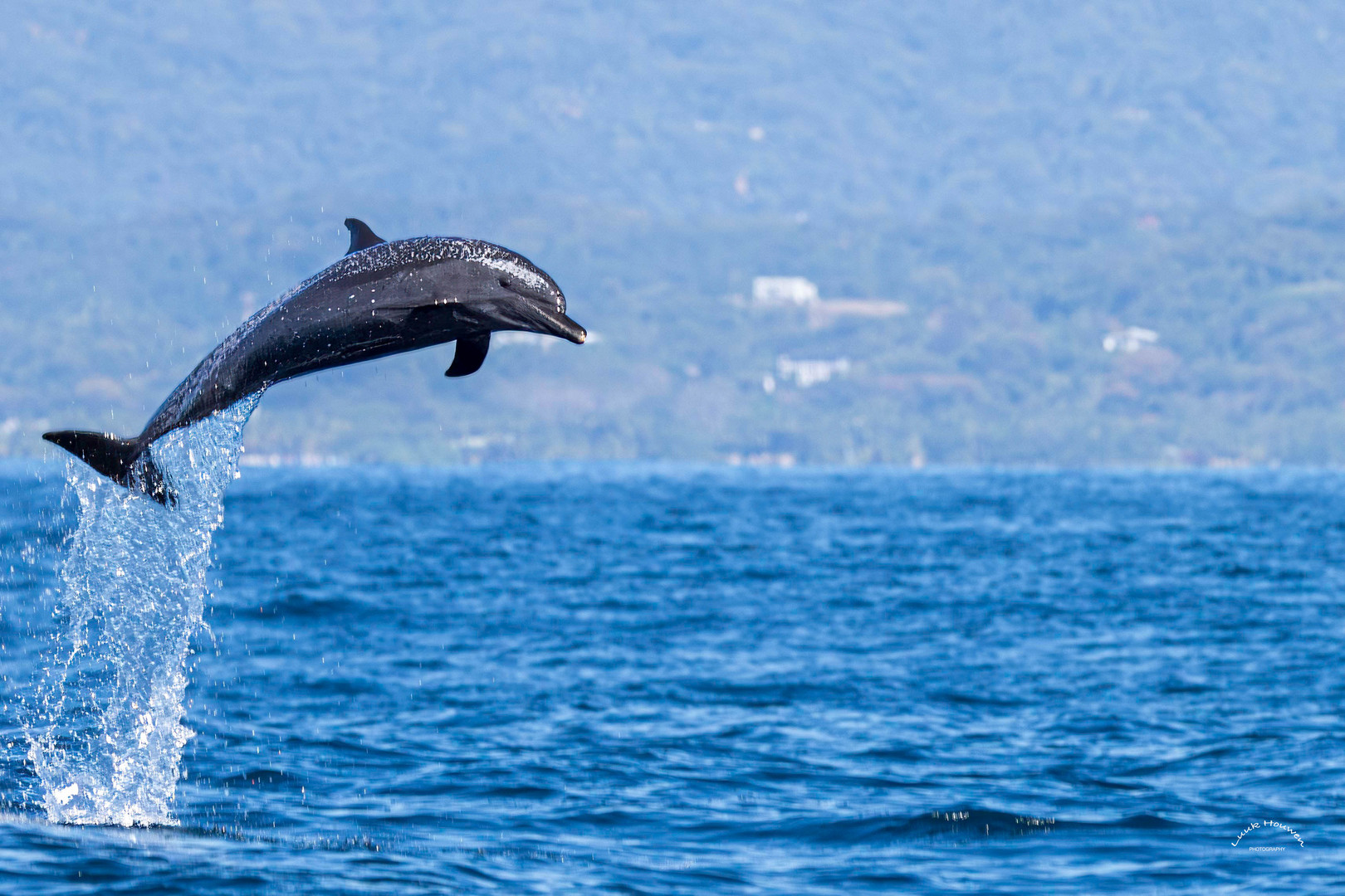 Springen vor Freude / Jumping for joy