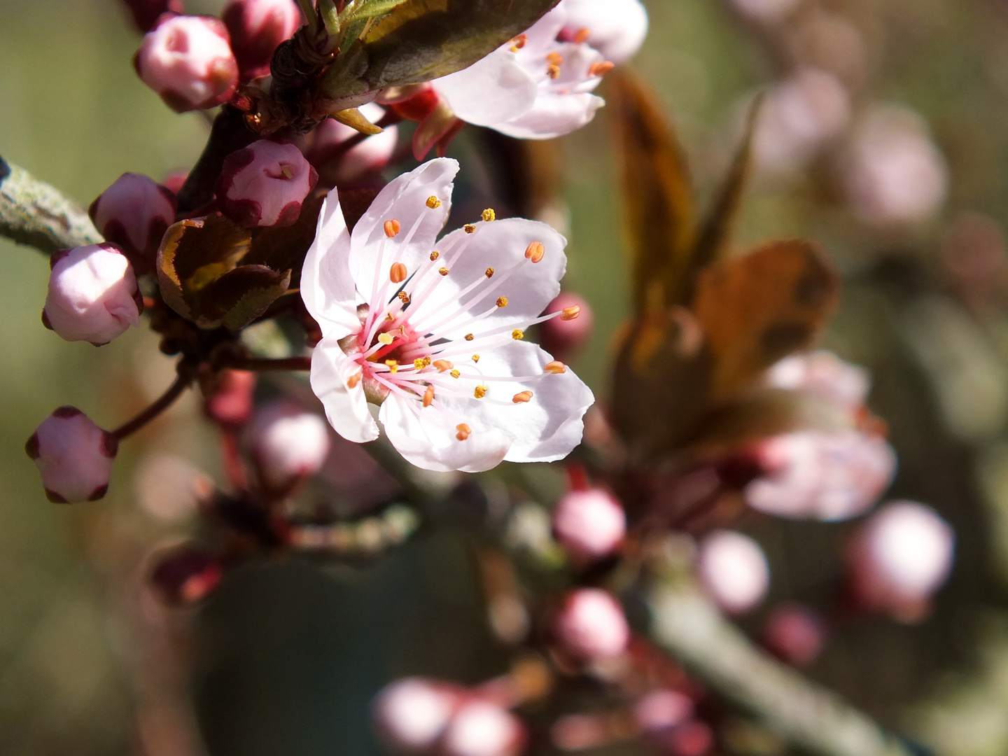 Spring....endlich!