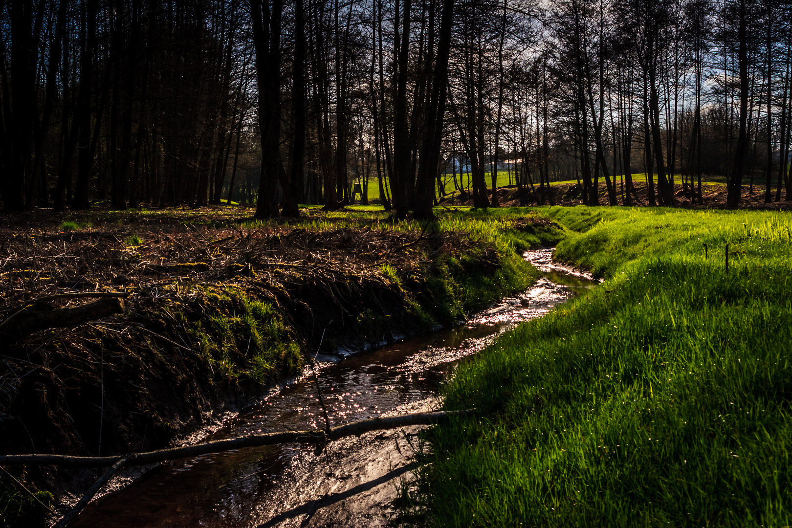 Spring(field)