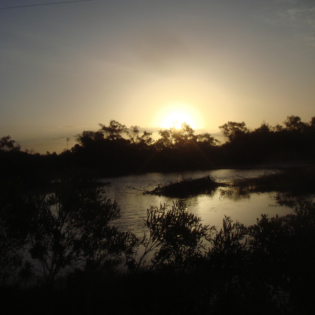 Springfield Farm, Agulhas National Park