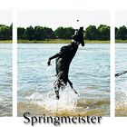 Springmeister