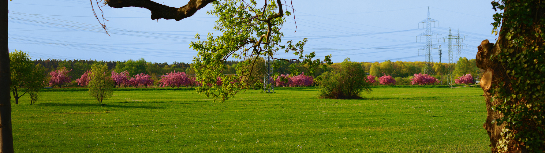 Springorama von Marco Lepitré 