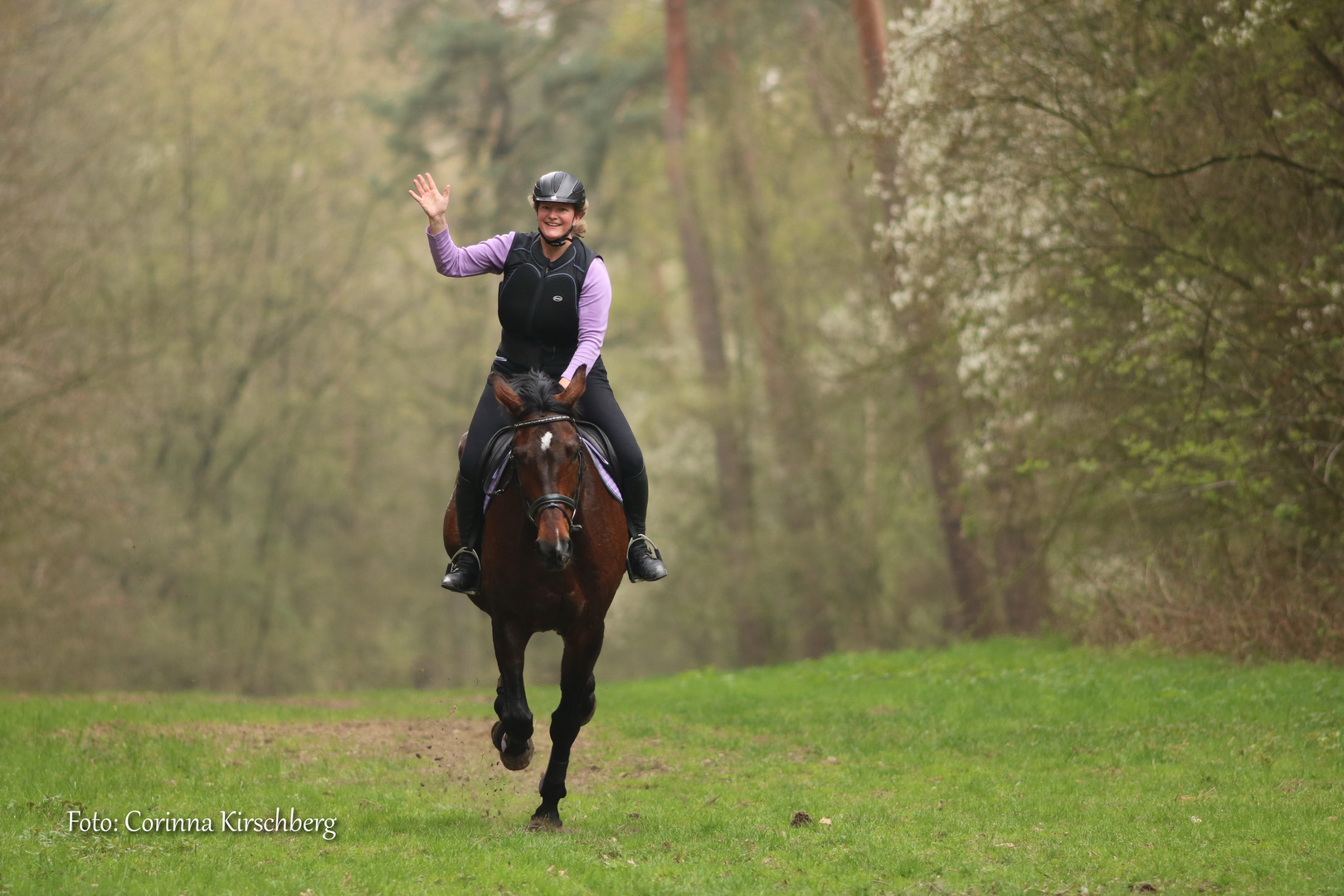 Springpferd tobt sich aus