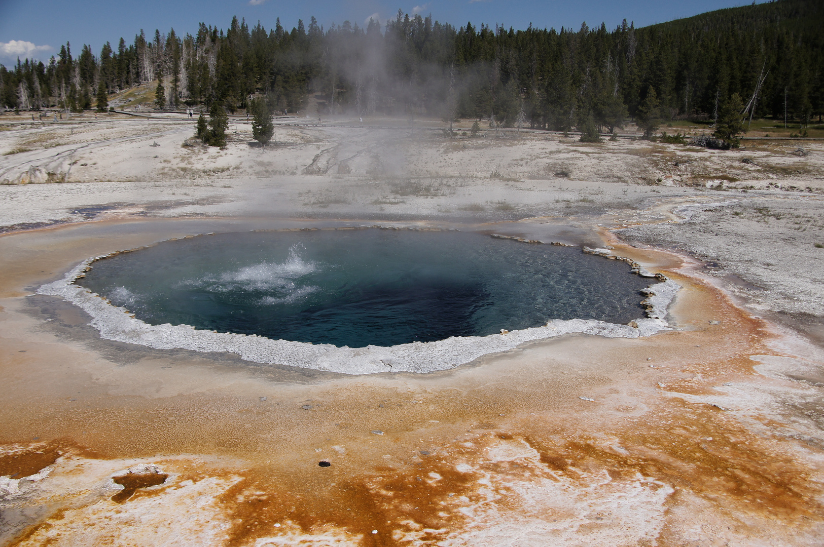 Springquelle im Yellowstone-NP