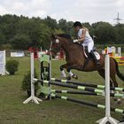 Springreiten 6