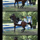 Springreiten, Absturz, Hinderniss, Reiten,