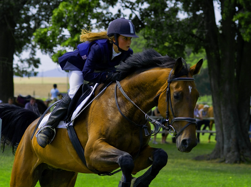 Springreiten im Trebostovo