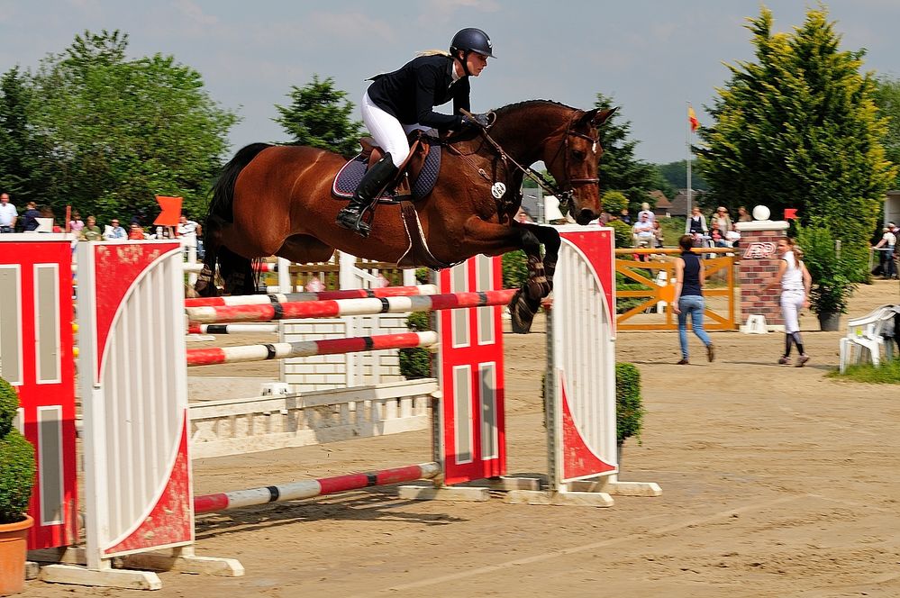 Springreiten in Bornheim-Widdig