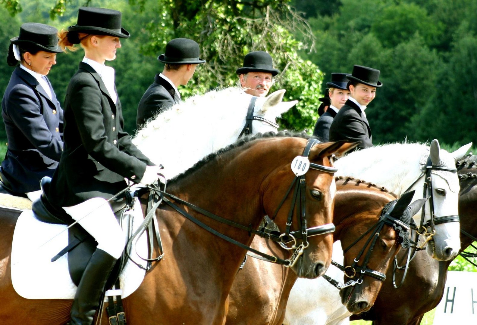 Springreiten in Golmsdorf / 1