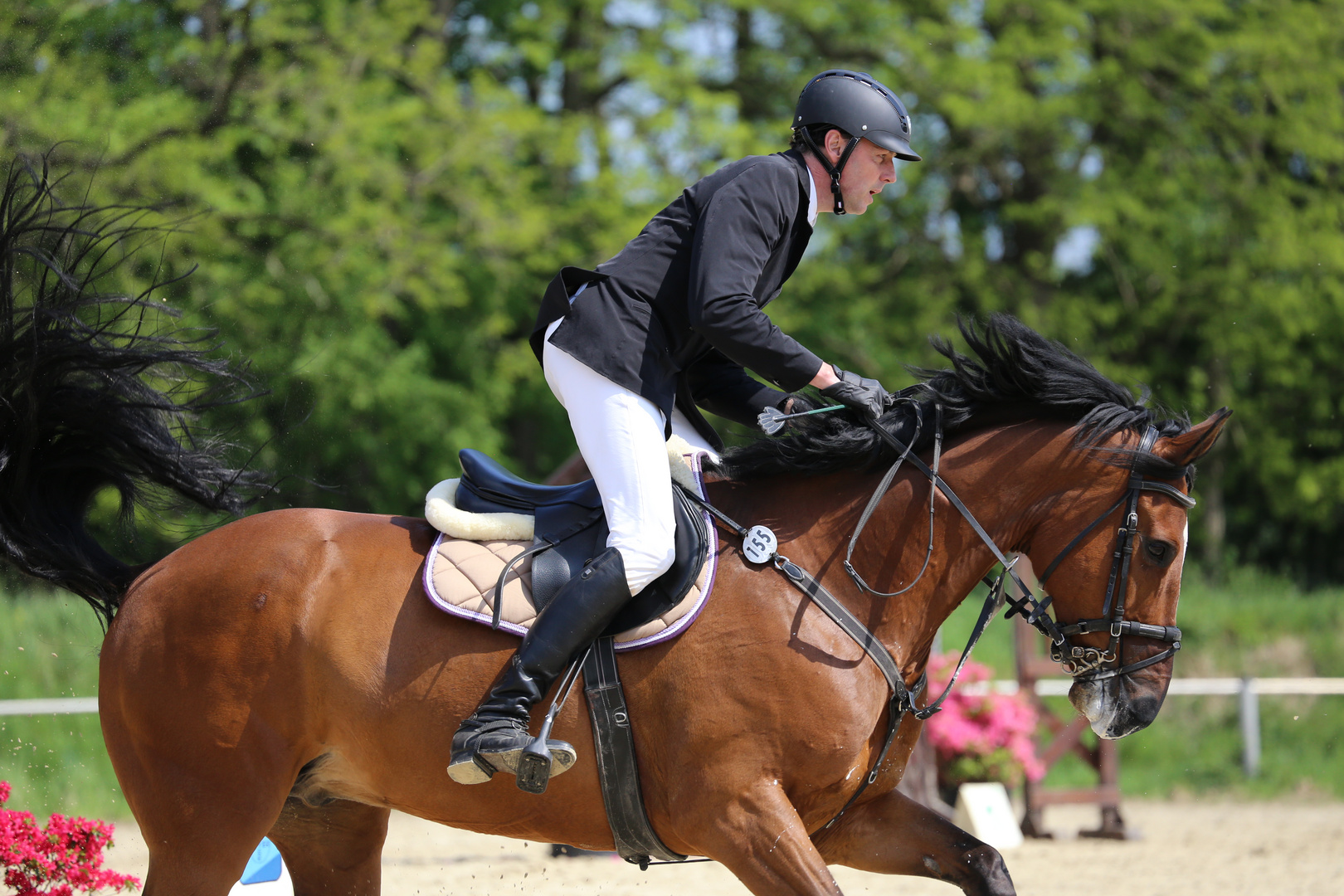 Springreiten in Leverkusen 2015