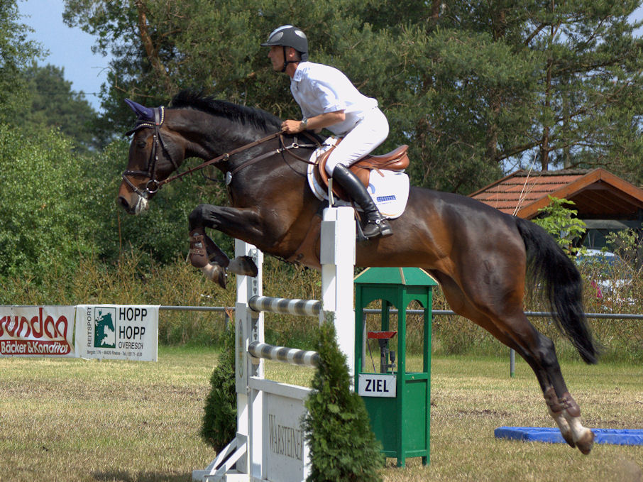 Springreiten ( Reitturnier) Foto & Bild | sport, sport mit tieren