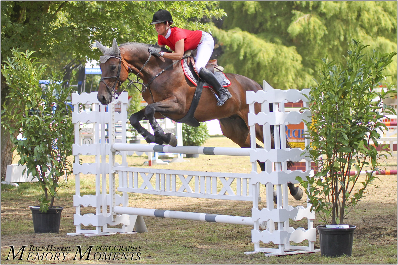 Springreiten, Reitturnier, Claudia Hertel, Pferd