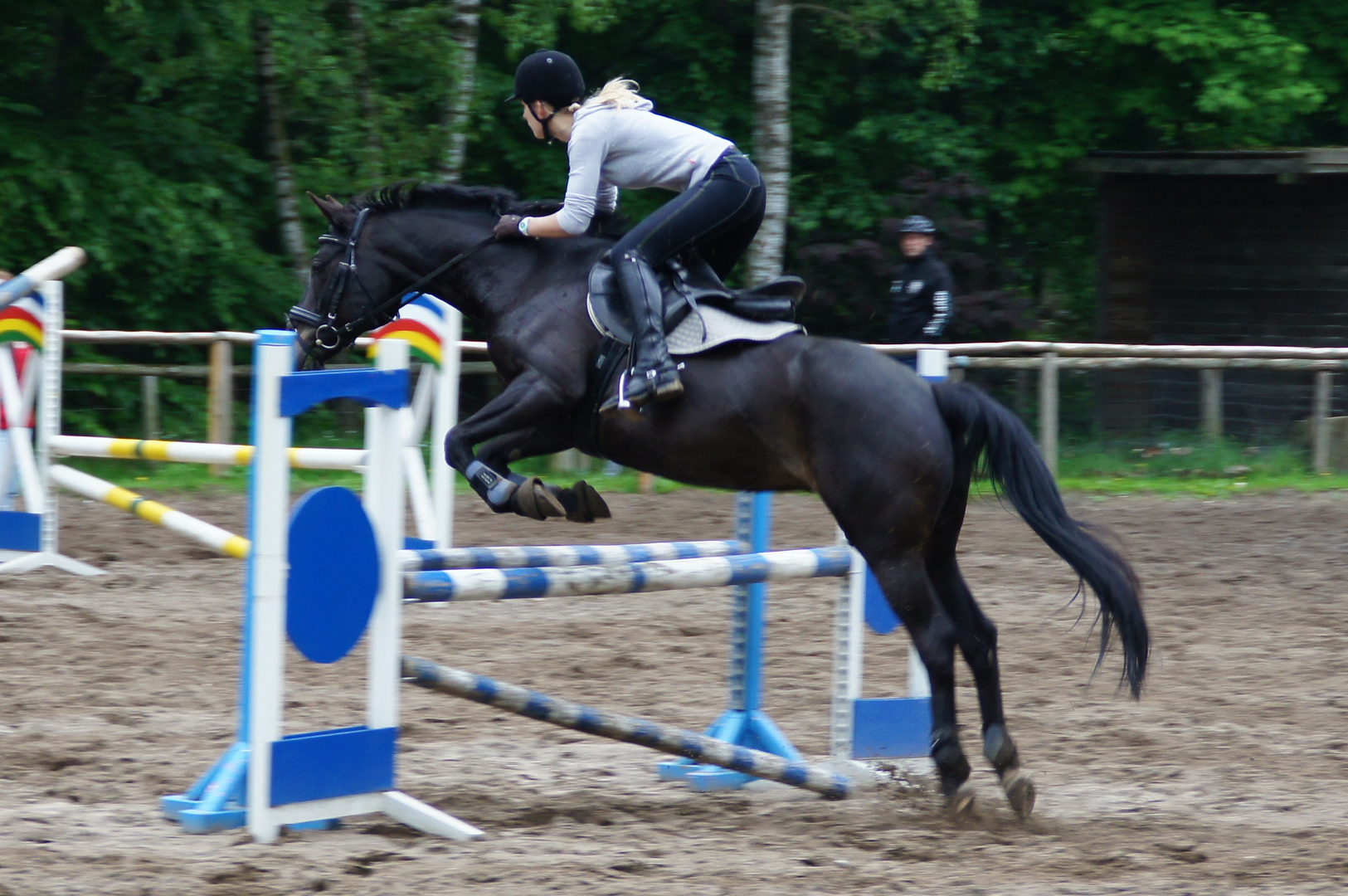 Springreiten1