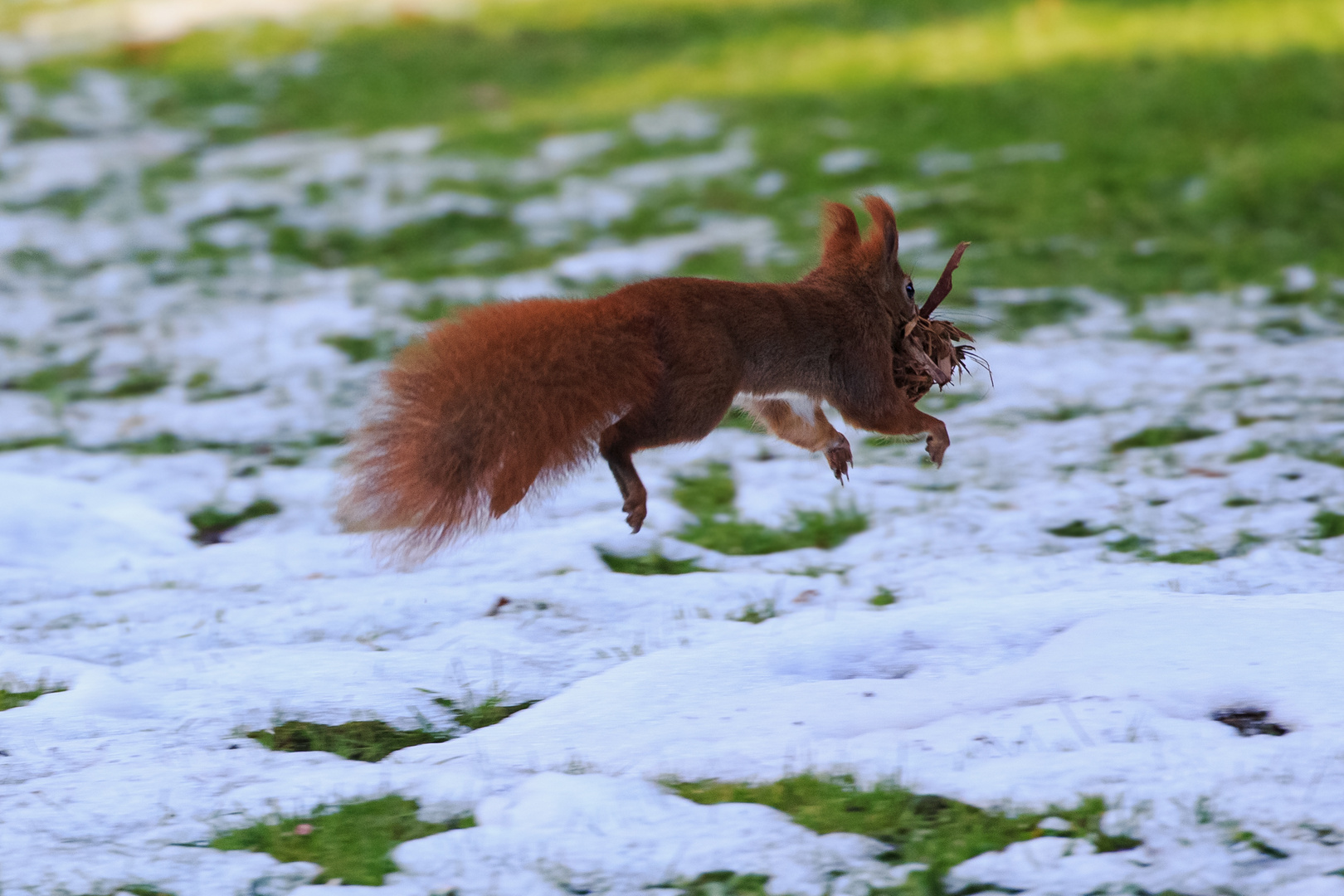 Springt gut rein ins neue Jahr!