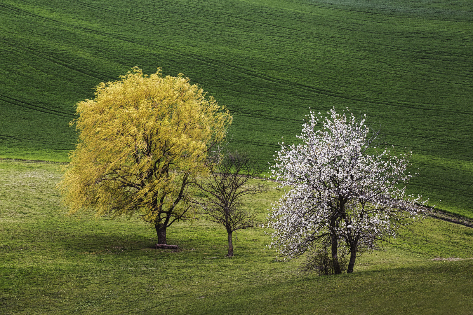 springtime