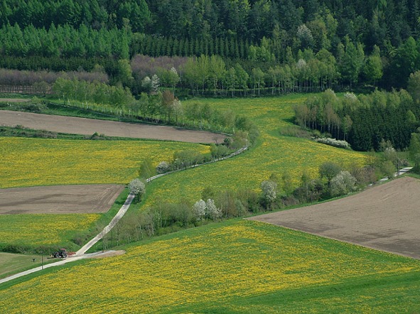 Springtime à la Bavaria