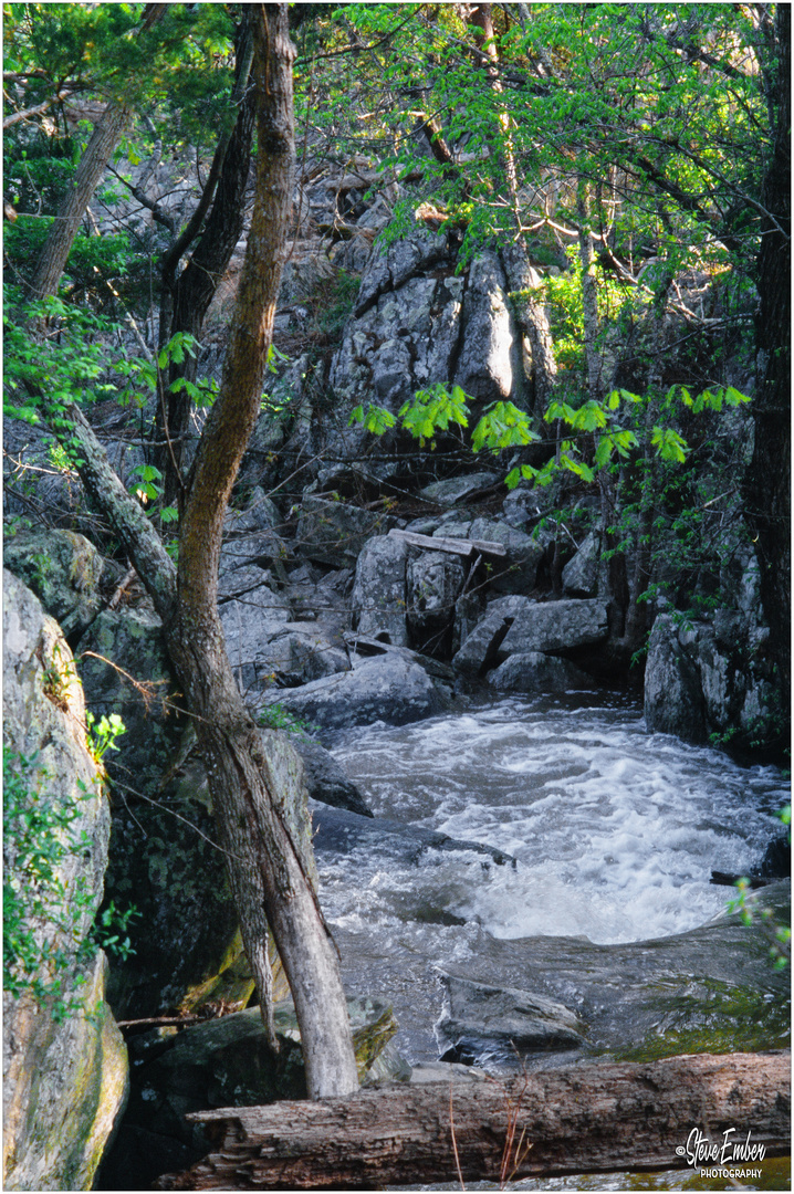 Springtime along the Great Falls Overlook Trail 