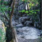 Springtime along the Great Falls Overlook Trail 