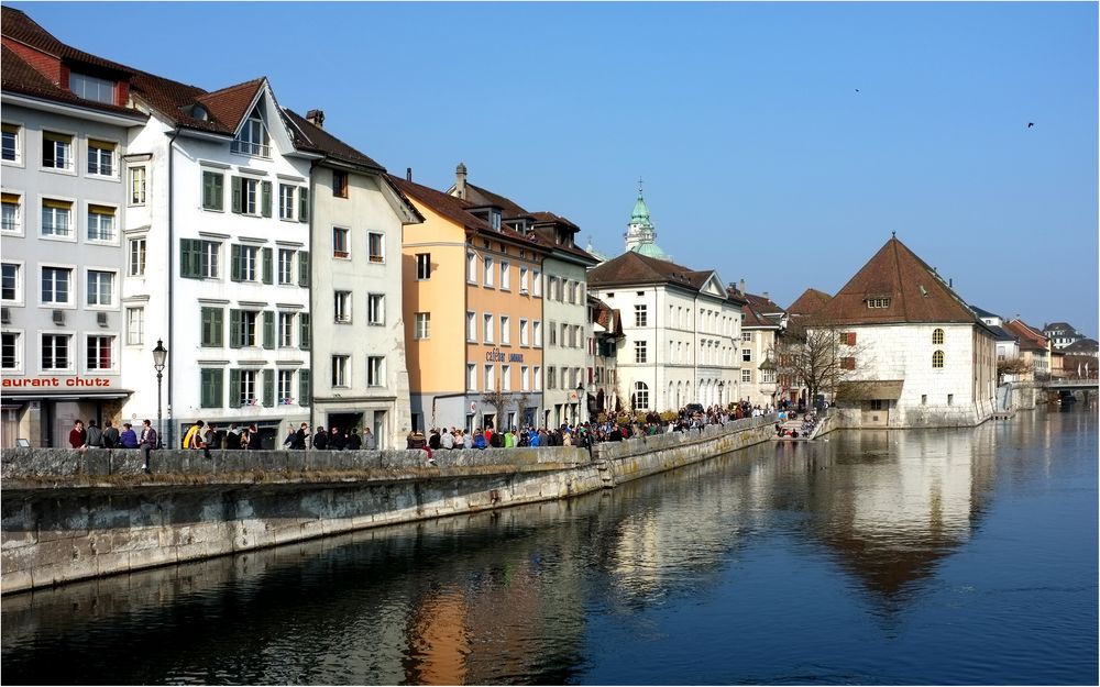 Springtime am Aareufer