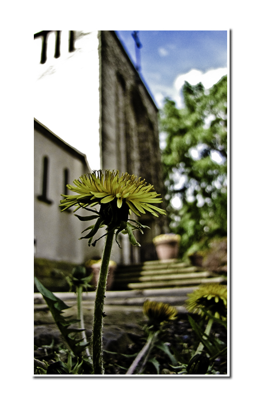 Springtime at the graveyard