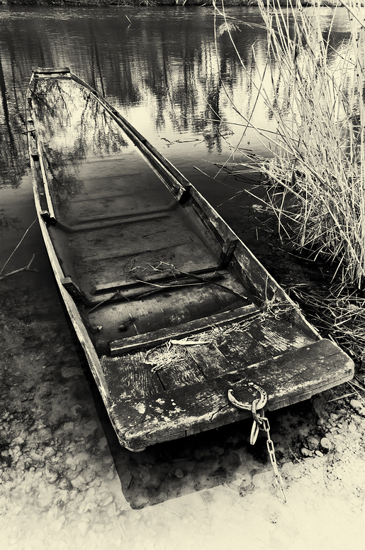 springtime boat