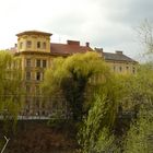 Springtime in Graz