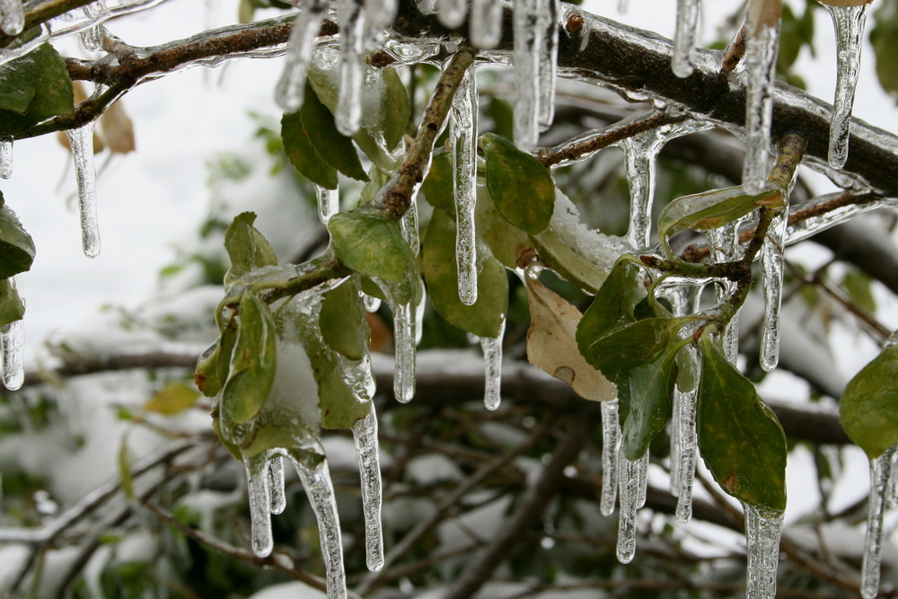 Springtime in Kansas...