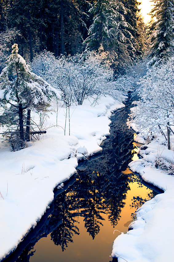 Springtime in Latvia