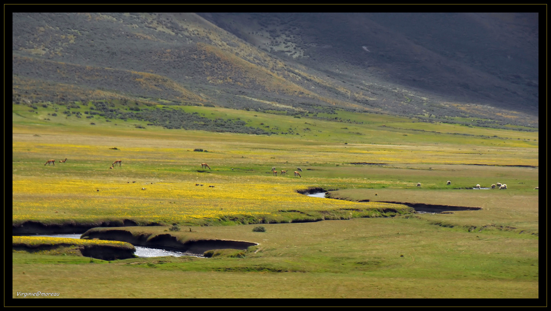 Springtime in Patagonia