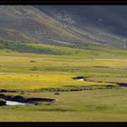 Springtime in Patagonia