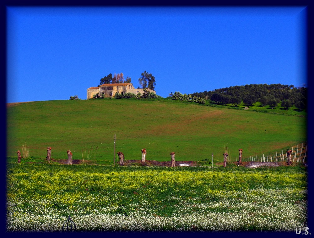 Springtime in Sicily