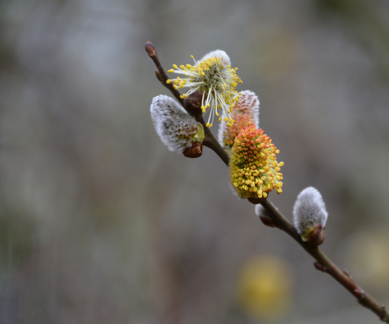 springtime in sight