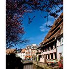 *springtime in wissembourg*