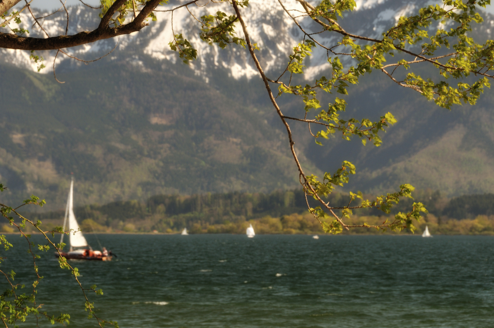 springtime on Chiemsee