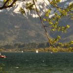 springtime on Chiemsee